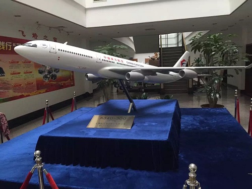 上?；顒訄?zhí)行